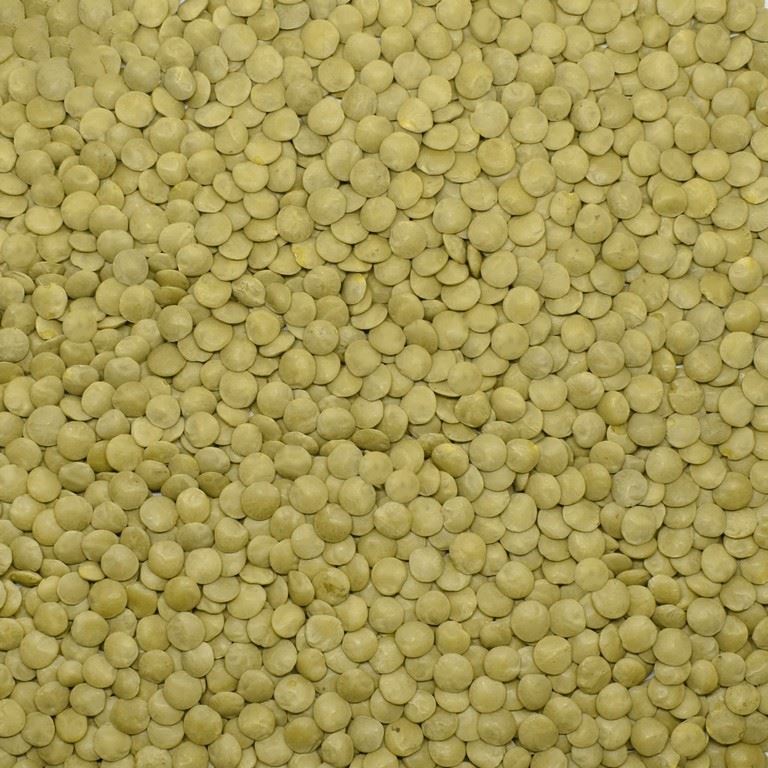 Bashan Green Lentil 7mm 1kg