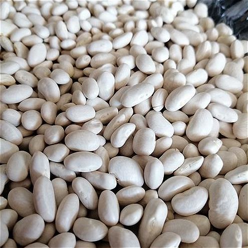 Turkish White Beans 1Kg